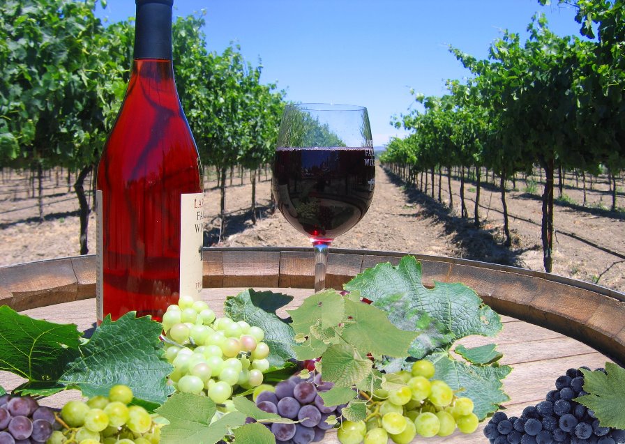 Anderson-Valley Wine-Trail.jpg